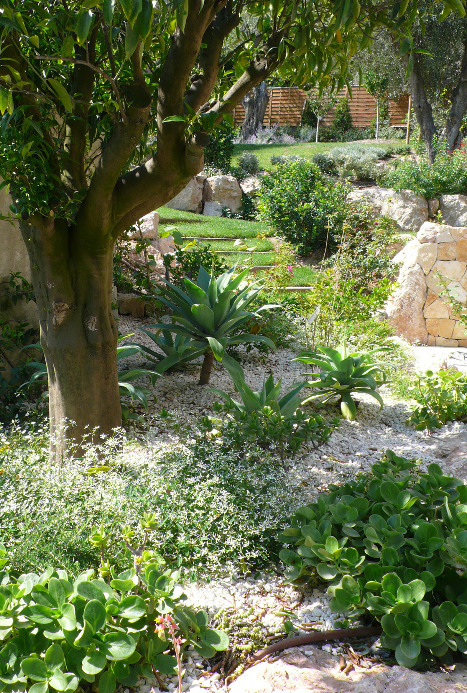 JARDIN 5
